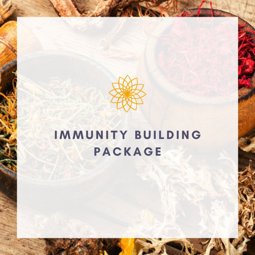 Immunity Building - (3 Sessions, Meal Plan, Recipes, Journals and eBook) By phone Online/Video chat Success